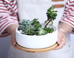 LANKER bamboo tray under pot protecting surfaces and catching water
