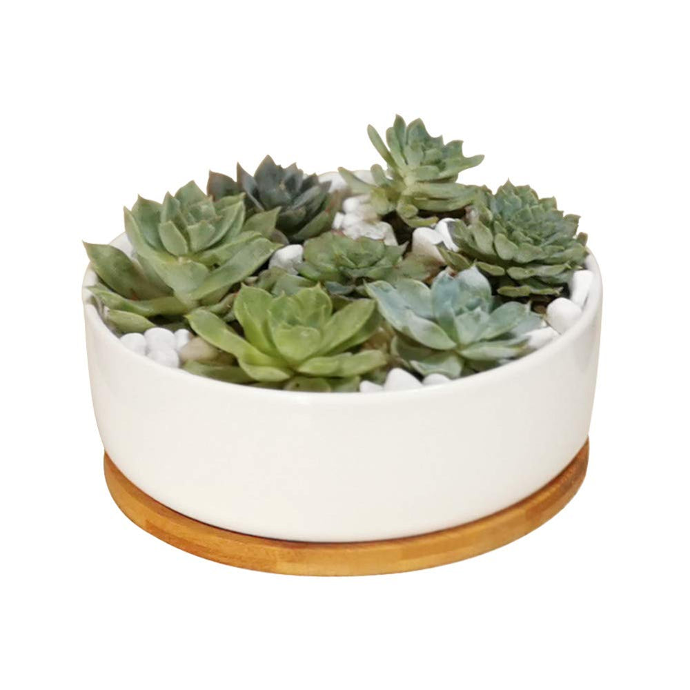 LANKER front view white ceramic planter showing clean finish and gift appeal