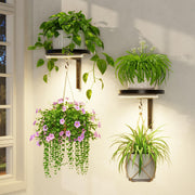 LASZOLA front view of two mounted plant holders showing clean display benefit