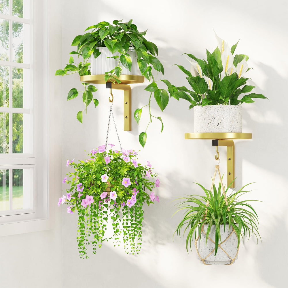LASZOLA front view of gold wall-mounted plant hanger showing sleek bracket and tray