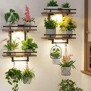 LASZOLA front view of two-pack shelves showing compact brown units and lights advantage