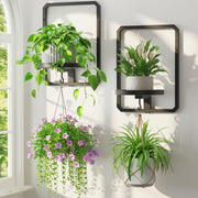 LASZOLA front view of black frame shelf showing neat plant display and style benefit