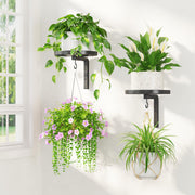 LASZOLA front view of two mounted plant shelves showing tidy vertical display and modern look