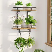 LASZOLA front view mounted shelf showing neat plant display and secure hold