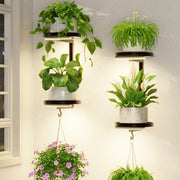 LASZOLA front view of dual wall shelves showing clean display and space-saving benefit