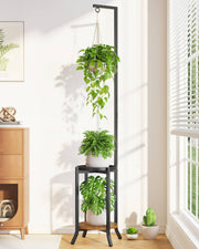 LASZOLA front view of full plant stand showing tidy vertical display benefit