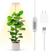 LBW front view of LED panel and bamboo pole showing compact design and broad coverage