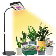 LBW grow light front view showing compact lamp and stable base, perfect for desks