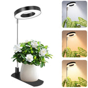 LBW halo front view showing lamp ring and minimal silhouette, enhances small-space planting