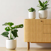 LE TAUCI boxed set showing three white planters and protective packaging for gifting