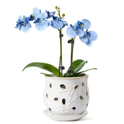 LE TAUCI front view arctic white pot showing elegant silhouette and visual appeal