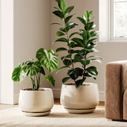LE TAUCI front view of both beige ceramic pots showing neutral style and balance