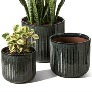 LE TAUCI front view set showing three dark olive planters and coordinated styling benefit