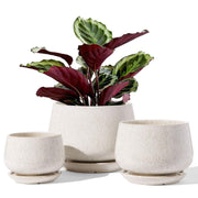 LE TAUCI front view of three beige pots showing modern silhouette and coordinated sizes for cohesive decor