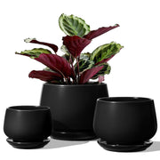 LE TAUCI front view of three black ceramic pots, stylish matching set