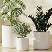 LE TAUCI front view of the three satin white planters showing cohesive styling and balance