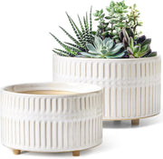 LE TAUCI front view of two white ceramic succulent planters showing shape and size benefit: clean display