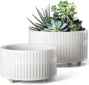 LE TAUCI matte white front view showing clean lines and modern benefit