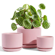 LE TAUCI pink pot front packaging showing product and gift-ready box