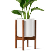 LE TAUCI front view of white ceramic planter showing clean silhouette and benefit of elegant display