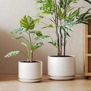 LE TAUCI front view of two white ceramic pots showing modern styling and stability