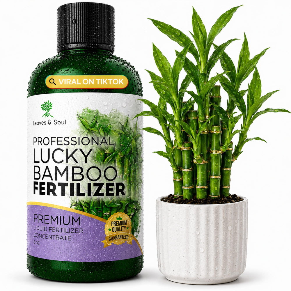 Leaves and Soul bottle front showing fertilizer for clear identification and fast feeding