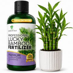 Leaves and Soul bottle front showing fertilizer for clear identification and fast feeding