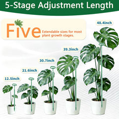 LECAMEBOR stake supporting monstera in pot to maintain upright healthy growth