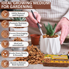 Legigo coco chips used in an orchid pot demonstrating stable support and drainage