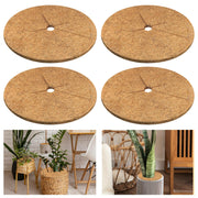 Legigo front view of 4-pack mulch rings showing natural protection and tidy garden look