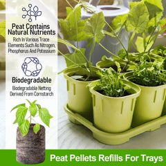 Legigo seedling being transplanted with pellet intact to reduce transplant shock benefit