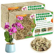 Legigo sphagnum moss front packaging showing natural fibers and volume benefit