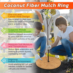 Legigo trimmed mulch ring fitted around shrub base for clean, custom fit