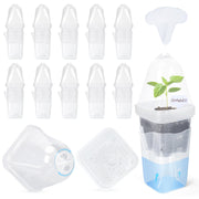 LEMEWEL front packaging showing full 24-pack and organized tray benefit