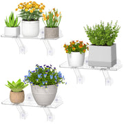 Lifewit front view of window plant shelves showing neat display and sunlight benefit