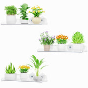Lifewit front view shelf showing clean display and clear acrylic benefit