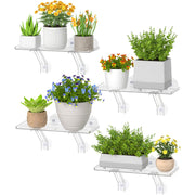 Lifewit front view of shelf on window showing secure planting display