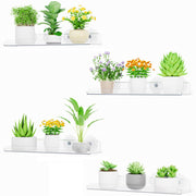 Lifewit clear window shelf front view showing slim design and visibility benefit