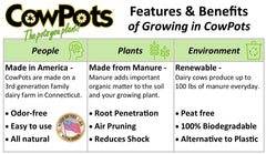 Liquid Fence CowPots decomposing in garden adding organic matter benefit