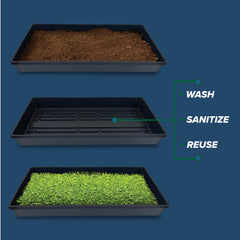 Living Whole Foods side profile showing tapered walls and depth advantage