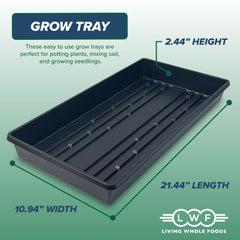 Living Whole Foods top view showing tray dimensions and pad fit benefit