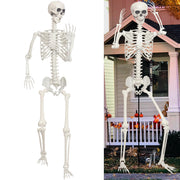 Lodou giant skeleton front view showing full 7.9ft height and realistic bones for striking decor