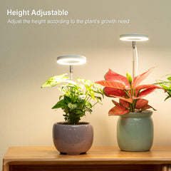 LORDEM close-up of halo design highlighting stylish form and even light spread