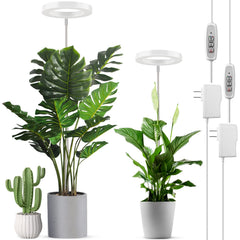 LORDEM front panel showing LEDs and controls for reliable indoor growth