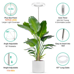 LORDEM grow light mounted in succulent pot providing even coverage