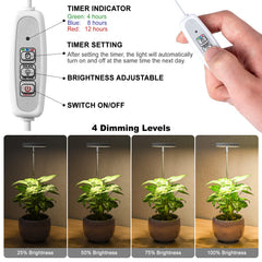 LORDEM timer control panel close-up showing easy auto-on/off convenience