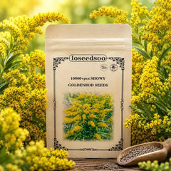 Loseedsoo seed pack front view clearly labeled for easy planting