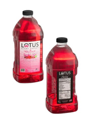 LOTUS PLANT POWER DRINK Pink Skinny front bottle showing vibrant pink color and zero-sugar benefit