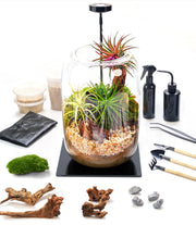 LUCKYRUNES front packaging showing complete terrarium kit and included pieces
