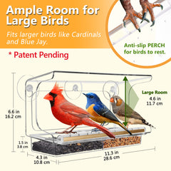 LUJII perched cardinal using tray demonstrating roomy support